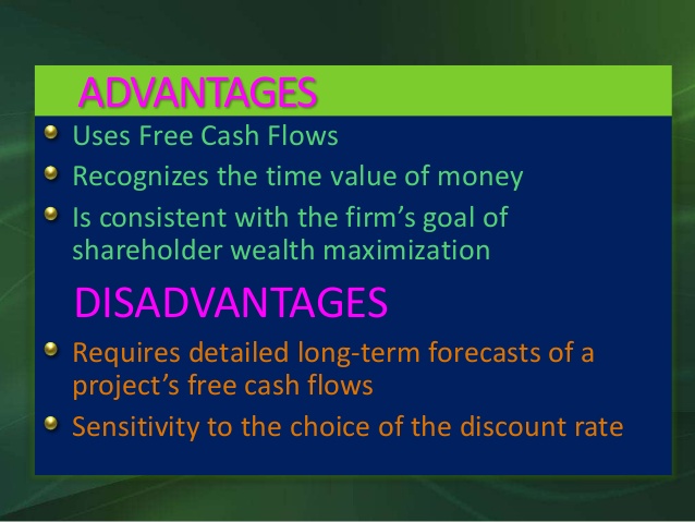 wealth maximization advantages and disadvantages